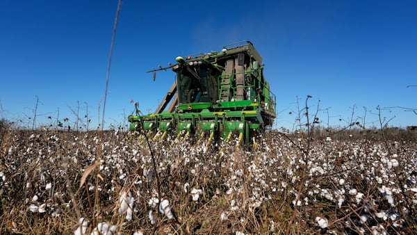 A cotton picker moves through Chris Hopkins' cotton field, Friday, Dec. 6, 2024, near Lyons, Ga. (AP Photo/Mike Stewart)