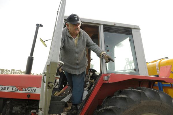 FILE - Jose "Pepe" Mujica, 74, presidential hopeful for the governing Broad Front leftist coalition, stands in a tractor on his flower farm after voting in Uruguay's general elections, on the outskirts of Montevideo, Oct. 25, 2009. (AP Photo/Matilde Campodonico, File)