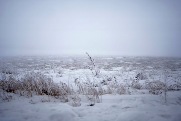 Snow covers the landscape in Belcourt, N.D, on Tuesday, Feb. 25, 2025. (AP Photo/Mark Vancleave)