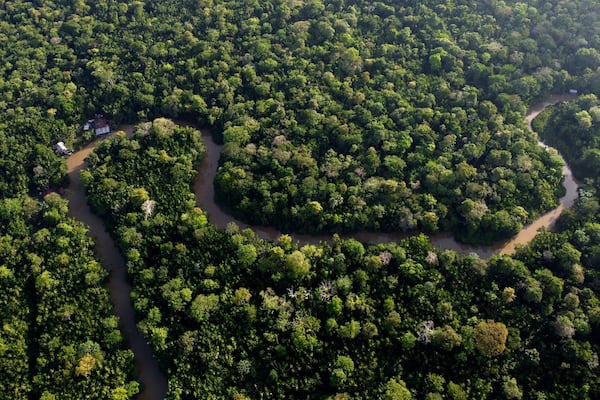 FILE - Forest lines the Combu creek, on Combu Island on the banks of the Guama River, near the city of Belem, Para state, Brazil, Aug. 6, 2023. (AP Photo/Eraldo Peres, File)