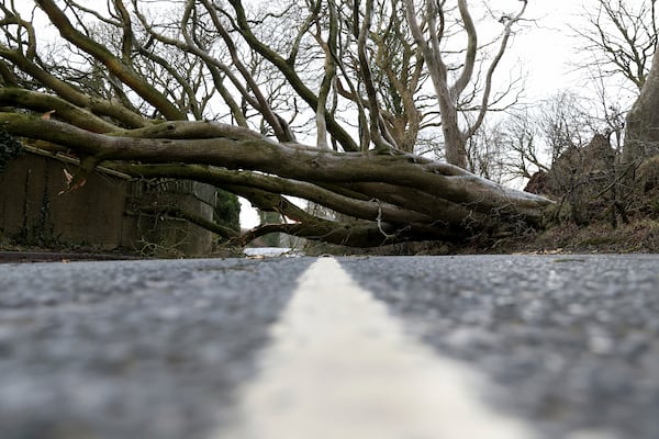 A fallen tree blocks the road during storm Eowyn that hit the country near Belfast, Northern Ireland, Friday, Jan. 24, 2025.(AP Photo)