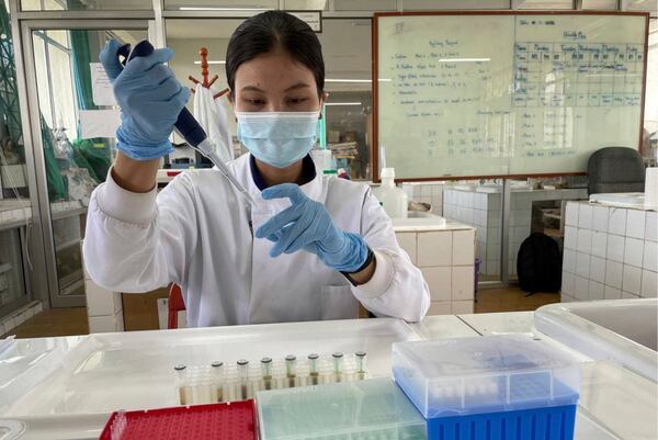 In this photo released by the Flora & Fauna conservation group, a medical expert experiments in a laboratory of Wildlife Sanctuaries in Preah Vihear province, Cambodia, in 2020. (The Flora & Fauna conservation group via AP)