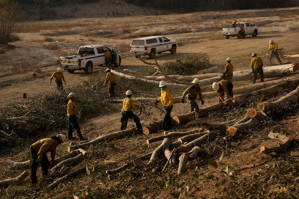 Firefighters from the Navajo Scouts firefighter crew cut up trees destroyed by the Eaton Fire, Friday, Jan. 17, 2025, in Pasadena, Calif. (AP Photo/John Locher)