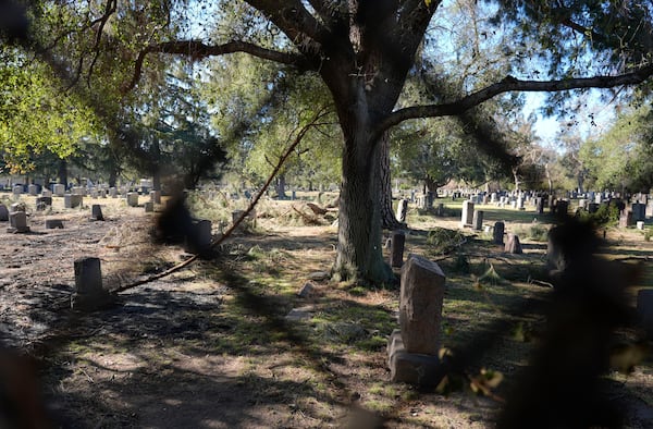 A damaged tree stands near graves at Mountain View Cemetery after the Eaton Fire, Tuesday, Jan. 14, 2025, in Altadena, Calif. (AP Photo/Chris Pizzello)