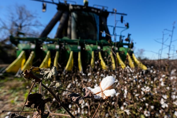 A cotton picker moves through Chris Hopkins' cotton field, Friday, Dec. 6, 2024, near Lyons, Ga. (AP Photo/Mike Stewart)