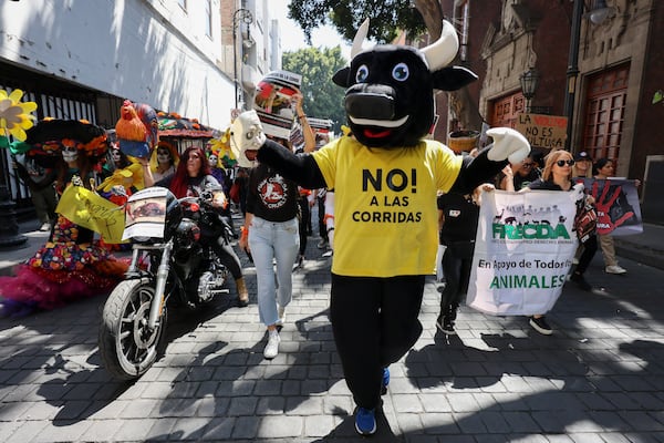 A protester wearing a bull costume and shirt that reads in Spanish "No to bullfighting!" gathers outside Mexico's City's Congress where lawmakers are expected to debate its continuation in Mexico City, Tuesday, March 18, 2025. (AP Photo/Ginnette Riquelme)