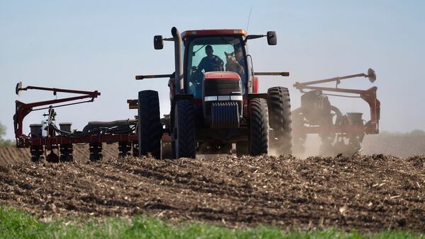 Soybeans are planted on Thursday, May 8, 2025 near Waverly, Minn. (AP Photo/Mark Vancleave)
