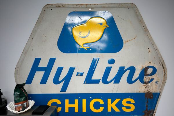 A company sign is seen in a conference room at the Hy-Line hatchery Tuesday, Dec. 10, 2024, in Wilton, Iowa. (AP Photo/Charlie Neibergall)