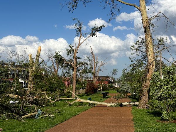 Damaged and fallen trees are seen in St. Louis, Missouri, on Friday, May 16, 2025 when severe storms, including a possible tornado, swept through the city. (AP Photo/Michael Phillis)