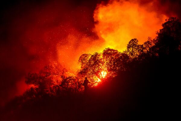 A firefighter battles the Lilac Fire near the Bonsall community of San Diego County, Calif., on Tuesday, Jan. 21, 2025. (AP Photo/Noah Berger)