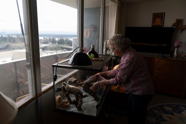 Linda Conover checks on her pet lizard at Smith Tower Apartments in Vancouver, Wash., on Monday, March 10, 2025. (AP Photo/Jenny Kane)