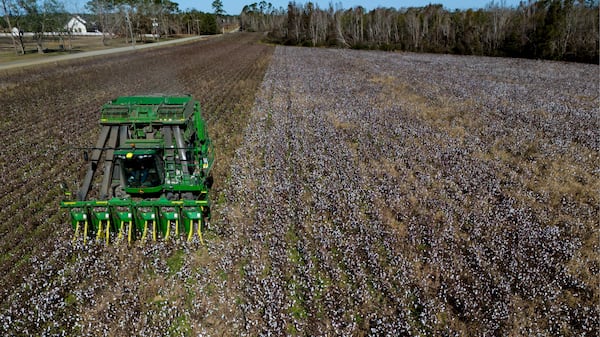 A cotton picker works in a field of cotton, Friday, Dec. 6, 2024, near Lyons, Ga. (AP Photo/Mike Stewart)