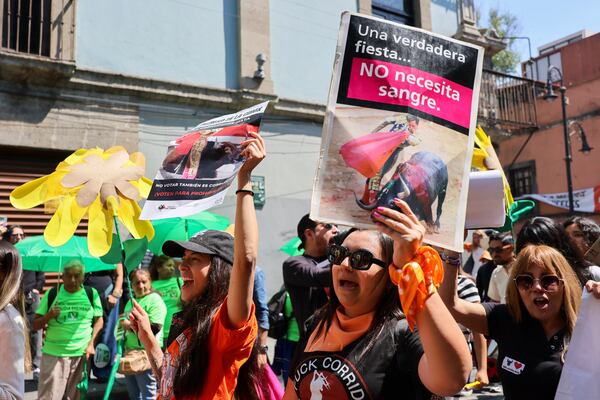 An animal-rights demonstrator carries a sign that reads in Spanish "A real festival does not need blood," outside Mexico's City's Congress where lawmakers are expected to debate the continuation of bullfighting in Mexico City, Tuesday, March 18, 2025. (AP Photo/Ginnette Riquelme)