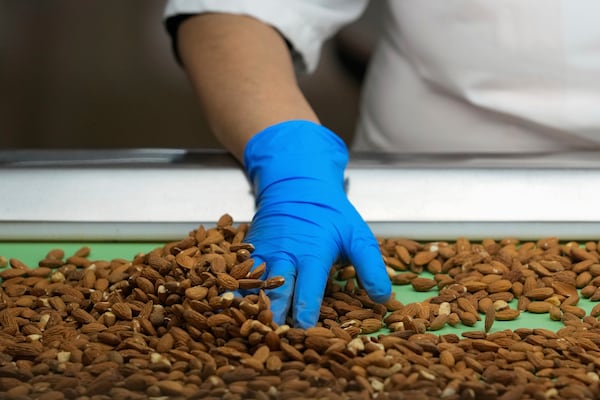 Angelita Delgado sorts through almonds by hand at Stewart and Jasper Orchards, Friday, March 7, 2025, in Newman, Calif. (AP Photo/Godofredo A. Vásquez)