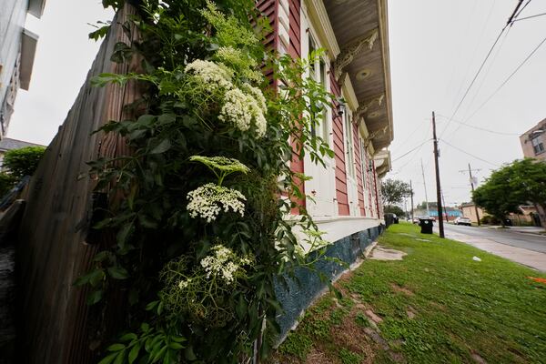 A neighborhood is seen in the 7th Ward, Friday, May 9, 2025 in New Orleans, which is the community where the grandparents of Pope Leo XIV lived. (AP Photo/Gerald Herbert)
