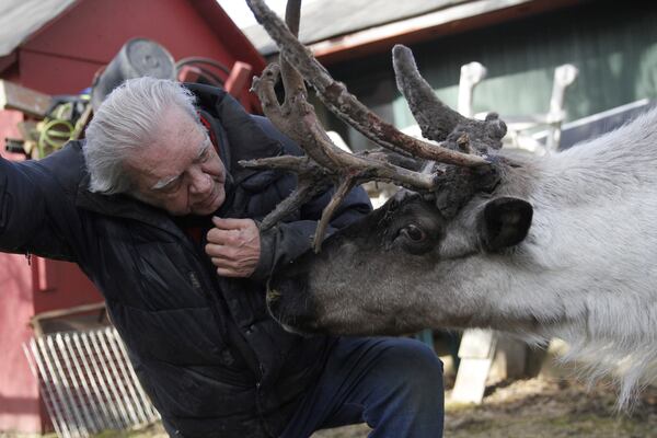 Albert Whitehead spends time with Star, his pet reindeer, outside his pen in downtown Anchorage, Alaska, on March 11, 2025. (AP Photo/Mark Thiessen)